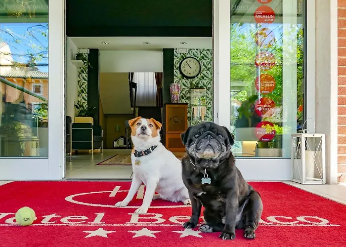 Benaco ***s Hotel 3*